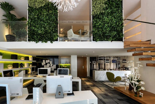 辦公室裝修中綠植是不可或缺的！為什么呢？