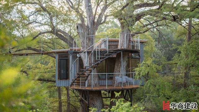 你敢住嗎，德克薩斯州中部“樹屋酒店”