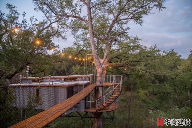 你敢住嗎，德克薩斯州中部“樹屋酒店”